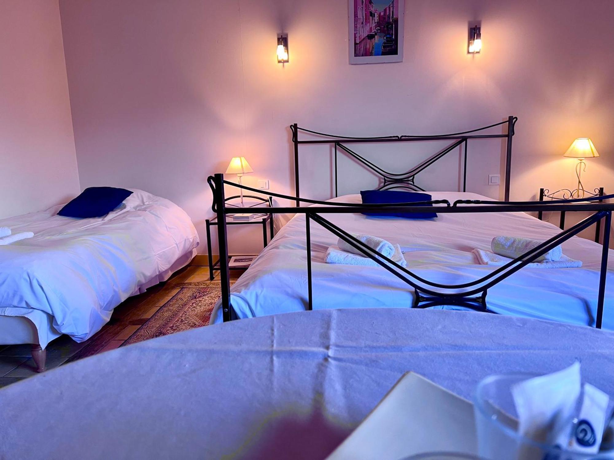 L'Antilope Hotel Nancay Bagian luar foto